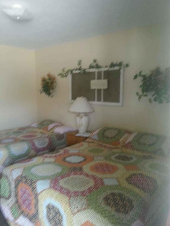 Taneycomo Lakefront Resort Bull Creek Room photo